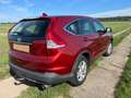 Honda CR-V CR-V 2.2i DTEC 4WD Automatik Comfort Rot - thumbnail 7