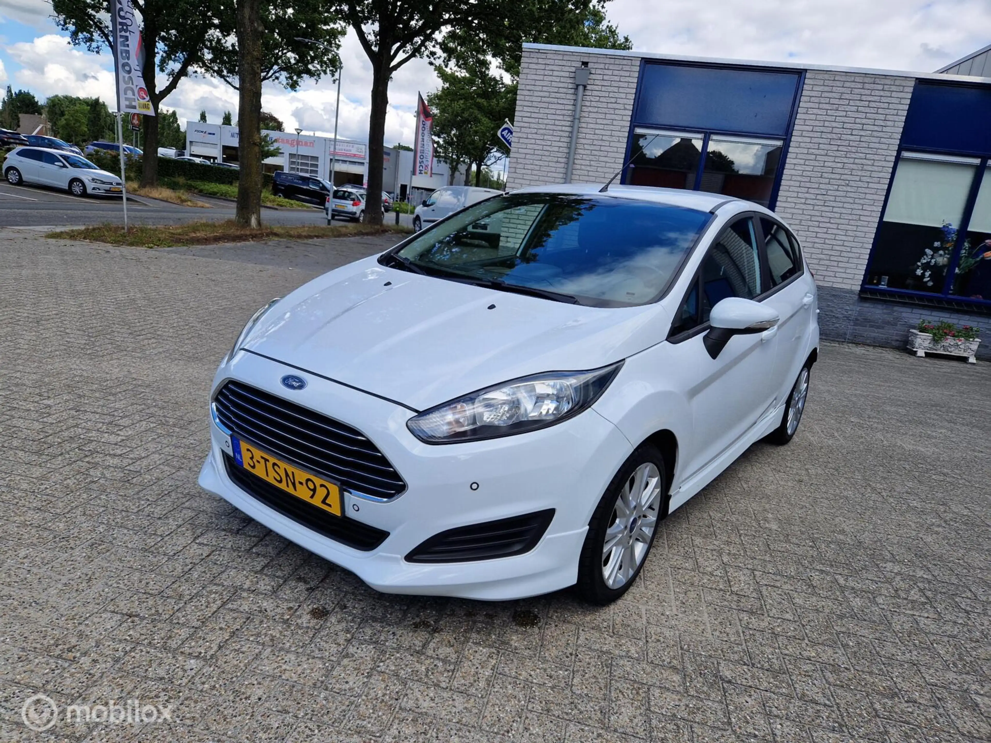 Ford Fiesta 1.0 EcoBoost Hot Hatch 99157 km Edition 434/500 — photo 15