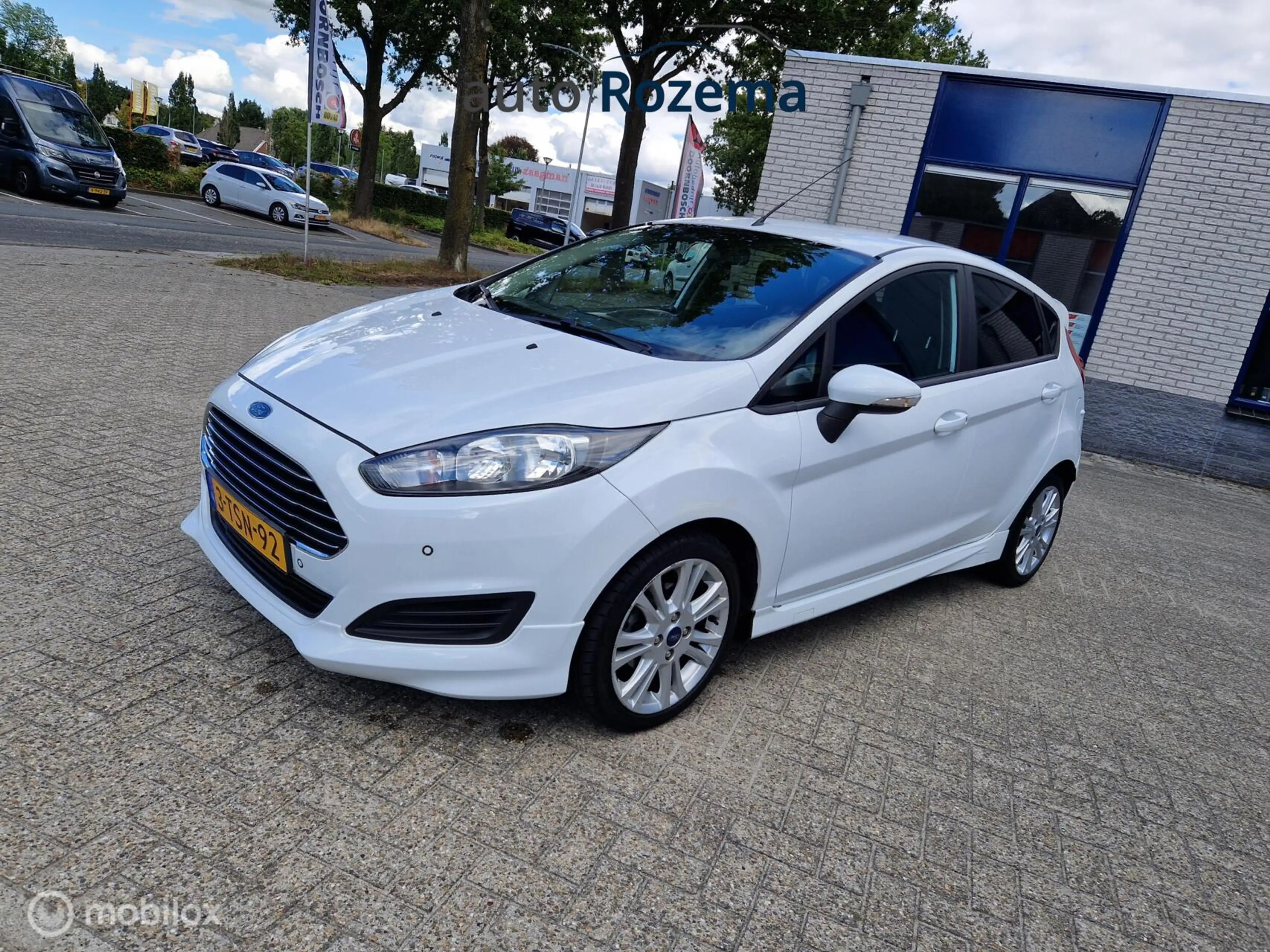 Ford Fiesta 1.0 EcoBoost Hot Hatch 99157 km Edition 434/500
