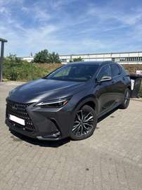 NX 350h AWD Privilege Line, full, 360°Cam, Head up, Mark Levinson
