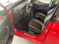 Skoda Fabia Fabia 1.2 Gpline 60cv FL Rosso - thumbnail 15