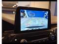 Ford Kuga 1.5 ecoblue st-line 2wd 120cv Grigio - thumbnail 15