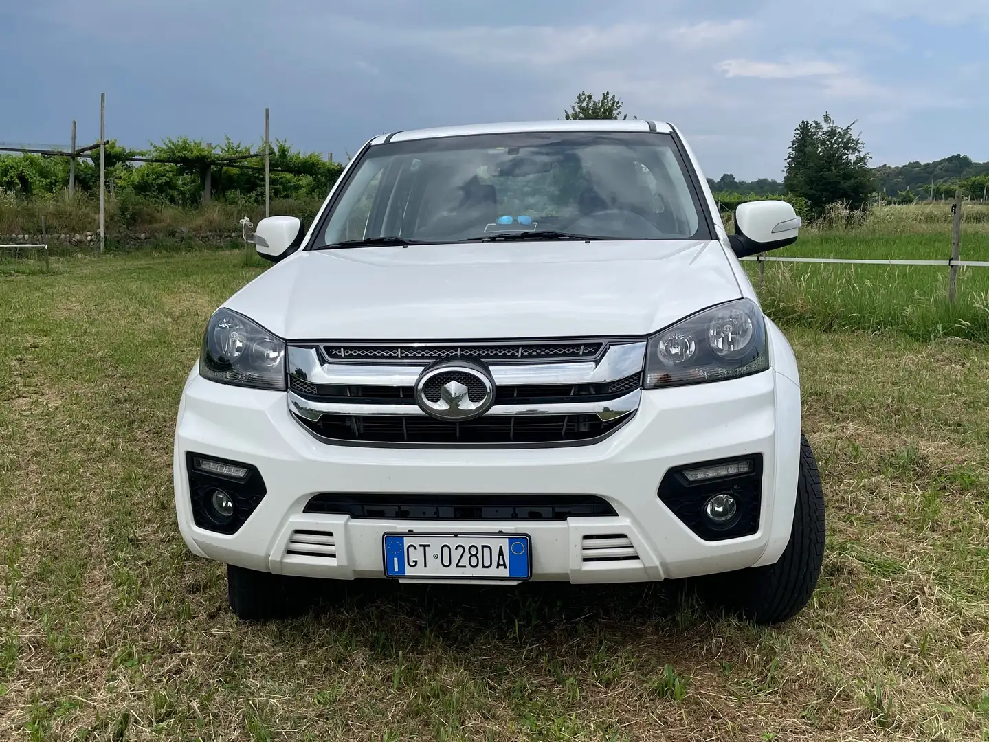Great Wall Steed Steed 2021 DC 2.4 Premium Gpl 4wd Weiß - 1