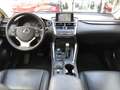 Lexus NX 300h AWD 25th Edition | Trekhaak, Leer, Navigatie, Stoe Grey - thumbnail 14
