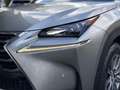 Lexus NX 300h AWD 25th Edition | Trekhaak, Leer, Navigatie, Stoe Szary - thumbnail 8