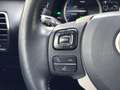 Lexus NX 300h AWD 25th Edition | Trekhaak, Leer, Navigatie, Stoe Grijs - thumbnail 25