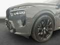 BMW X7 xDrive40d Pano* AHK* Harman/Kardon* SHZ* Gris - thumbnail 7