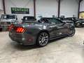 Ford Mustang Mustang Convertible V8 5.0 421 GT A Gris - thumbnail 15