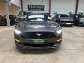 Ford Mustang Mustang Convertible V8 5.0 421 GT A Gris - thumbnail 13