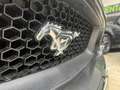 Ford Mustang Mustang Convertible V8 5.0 421 GT A Gris - thumbnail 18