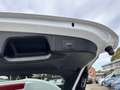 Ford Focus Turnier 1.5 EcoBoost Aut. ST-Line X Blanc - thumbnail 8
