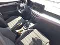 SEAT Ibiza 1.0 TSI S&S FR Grau - thumbnail 14