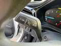 Ford Fiesta 1.1 75 CV GPL 5 porte Business Wit - thumbnail 17