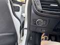 Ford Fiesta 1.1 75 CV GPL 5 porte Business Bianco - thumbnail 14
