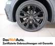 Volkswagen Tiguan R-Line TDI SCR 4MOTION DSG Grau - thumbnail 6