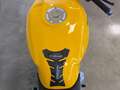 Ducati Monster 900 GIALLO Giallo - thumbnail 11