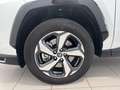 Toyota RAV 4 RAV4 Plug-in 300PH e-CVT Advance AWD-i Weiß - thumbnail 18