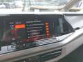 Volkswagen T7 Multivan VW T7 Multivan Edition ÜH eHybrid 180 kW 4M Grau - thumbnail 38