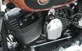 Harley-Davidson Softail FXSTC Softail Custom 105 Jahre H-D Bronce - thumbnail 15
