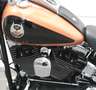 Harley-Davidson Softail FXSTC Softail Custom 105 Jahre H-D Bronce - thumbnail 11