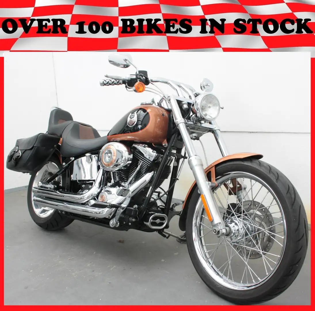 Harley-Davidson Softail FXSTC Softail Custom 105 Jahre H-D Bronce - 1