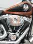 Harley-Davidson Softail FXSTC Softail Custom 105 Jahre H-D Bronce - thumbnail 10