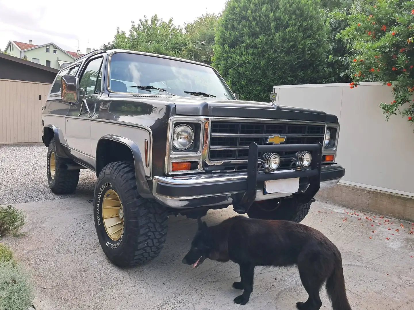 Chevrolet Blazer K5 Braun - 1