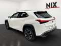 Lexus UX 250h Style Edition KAMERA EPH Wit - thumbnail 5
