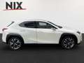 Lexus UX 250h Style Edition KAMERA EPH Wit - thumbnail 3