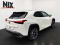 Lexus UX 250h Style Edition KAMERA EPH Wit - thumbnail 4