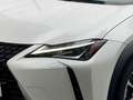 Lexus UX 250h Style Edition KAMERA EPH Wit - thumbnail 7