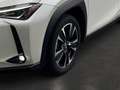 Lexus UX 250h Style Edition KAMERA EPH Weiß - thumbnail 8