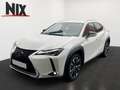 Lexus UX 250h Style Edition KAMERA EPH Wit - thumbnail 1