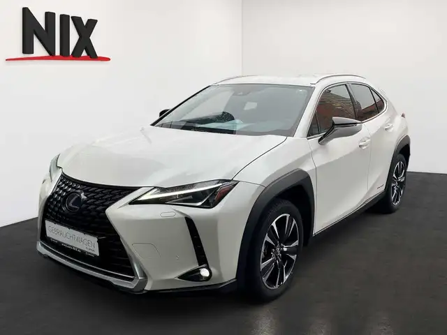 Lexus UX 250h Style Edition KAMERA EPH