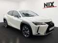 Lexus UX 250h Style Edition KAMERA EPH Wit - thumbnail 2