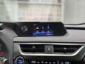 Lexus UX 250h Style Edition KAMERA EPH Wit - thumbnail 13