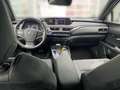 Lexus UX 250h Style Edition KAMERA EPH Wit - thumbnail 14