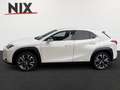 Lexus UX 250h Style Edition KAMERA EPH Wit - thumbnail 6