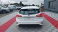 Ford Focus 1.0 ECOBOOST 100 SS TREND BUSINESS Blanc - thumbnail 6