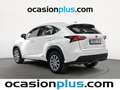 Lexus NX 300 300h Business Navigation 2WD Blanco - thumbnail 4