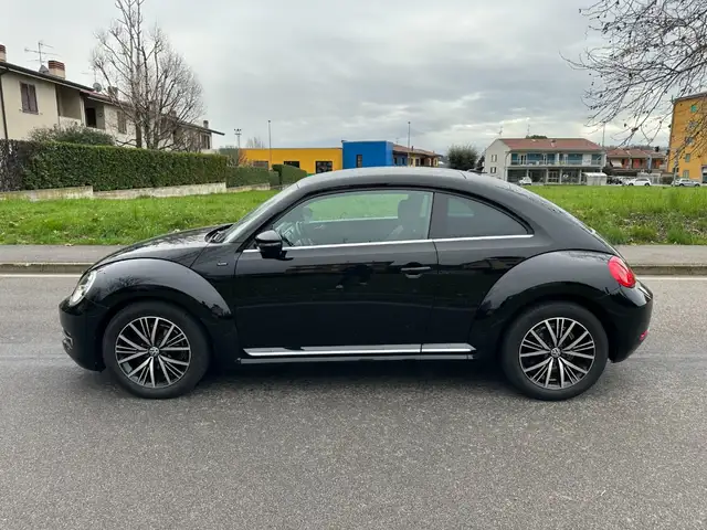 Volkswagen Beetle view 13