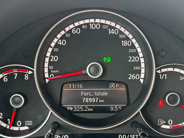 Volkswagen Beetle view 12