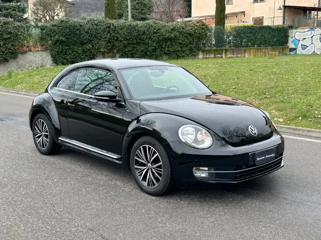 Volkswagen Beetle view 15