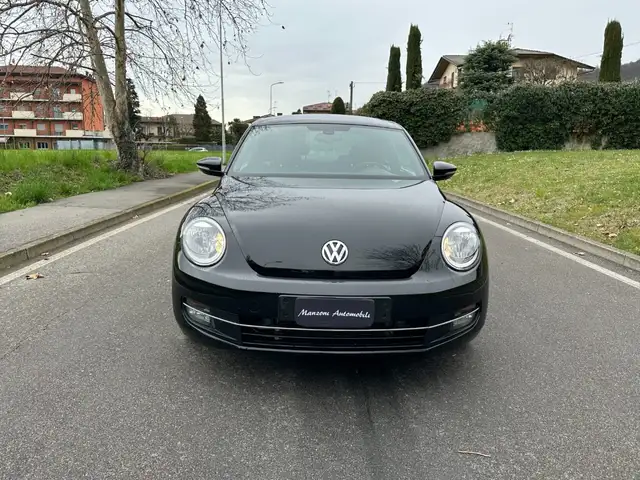 Volkswagen Beetle view 14