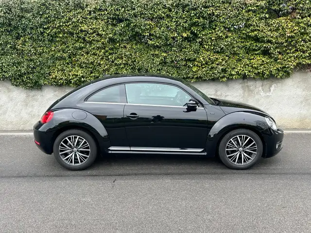 Volkswagen Beetle view 5