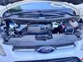 Ford Transit Custom L1H1 330K Variobus 2,2 TDCi Basis Basis Weiß - thumbnail 5