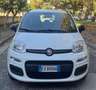 Fiat Panda new Panda III 1.2 Lounge 69cv E6 GPL prima vernice Bianco - thumbnail 2