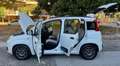 Fiat Panda new Panda III 1.2 Lounge 69cv E6 GPL prima vernice Blanc - thumbnail 24