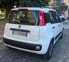 Fiat Panda new Panda III 1.2 Lounge 69cv E6 GPL prima vernice Bianco - thumbnail 6