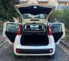Fiat Panda new Panda III 1.2 Lounge 69cv E6 GPL prima vernice Blanc - thumbnail 26